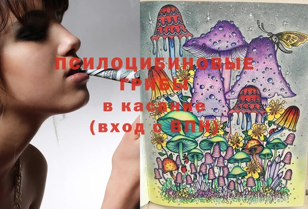 2c-b Бронницы