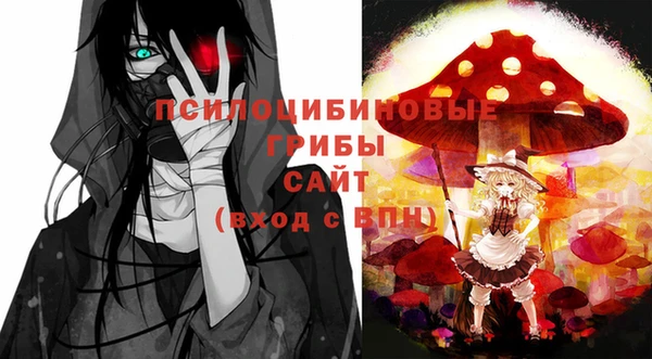 2c-b Бронницы