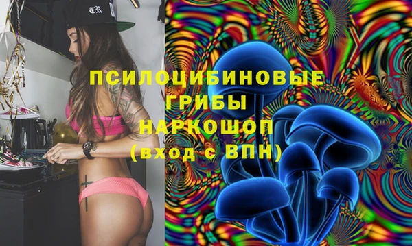 2c-b Бронницы