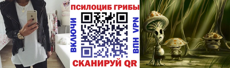 Купить закладки  Зеленоградск  Галлюциногенные грибы Cubensis 